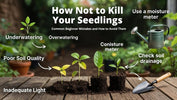How Not to Kill Your Seedlings