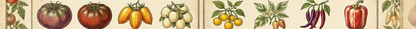 Rare and Collectible Tomato and Pepper Varieties for USDA Zones 5–8