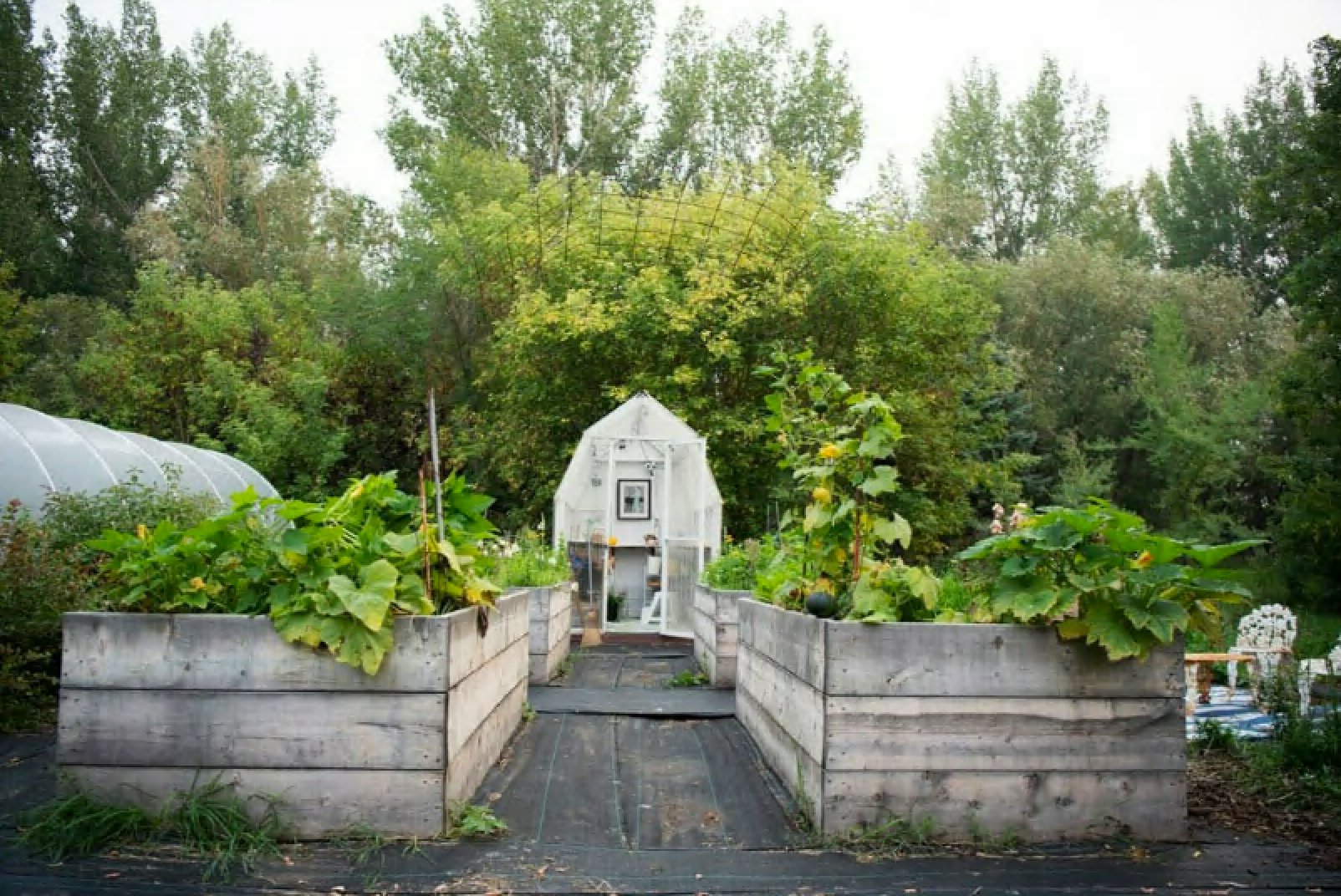 Planning a Small Vegetable Garden