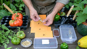 Seed Saving: How to Collect and Store Elite Varieties for a Sustainable Garden