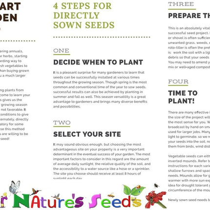 Columbine MCKANA GIANT Mix Perennial Hummingbirds Butterflies Non-Gmo 500 Seeds