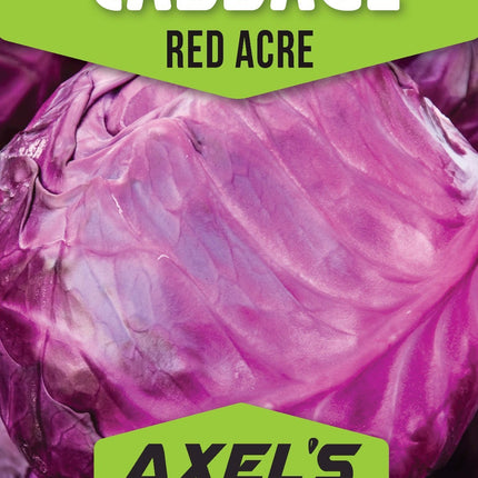 Red Acre Cabbage Heirloom Non-Gmo Seeds
