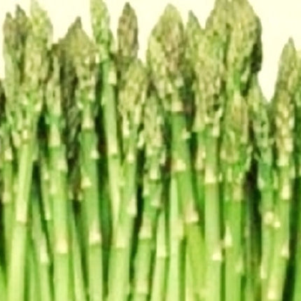 Mary Washington Asparagus Seeds | NON-GMO Asparagus Seeds Heirloom Garden Seeds