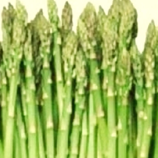 Mary Washington Asparagus Seeds | NON-GMO Asparagus Seeds Heirloom Garden Seeds