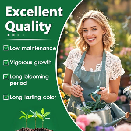 200Pcs Mixed Hosta Seeds for Planting Colorful Hosta Plant Seeds Perennial