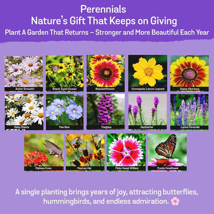 85,000 Wildflower Seeds, 35 Varietiey Wild Flowers Bulk Flower Seeds, Mix of Ann