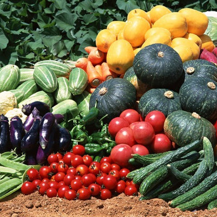 Survival/ Garden Heirloom Seed Cache 300,000+ Seeds, Non - GMO, "55 Varieties"