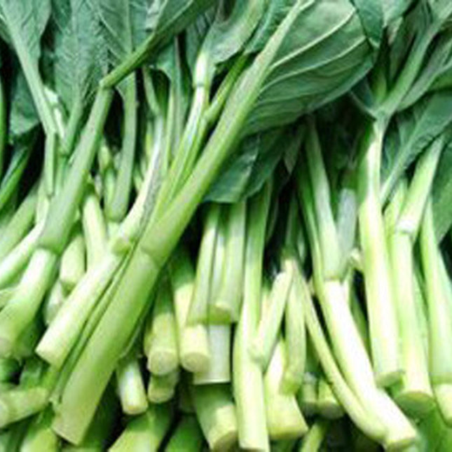 200+ Seeds Asian Yu Choy Choi Sum Choy Sum Chinese Flowering Cabbage Veggies USA