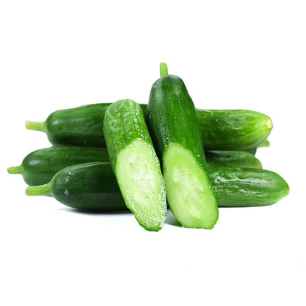 20+Cucumber Seeds Garden Sweet Slice Burpless Hybrid Cucumber USA