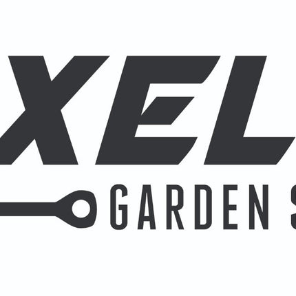 Georgia Southern Collard Heirloom Non GMO Seeds