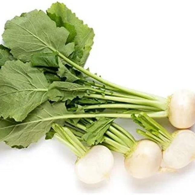 Shogoin Turnip Seed, Japanese Turnip, Greens, Root Vegetable, Heirloom, NON GMO