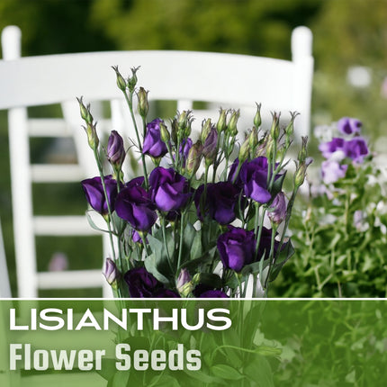 Lisianthus Seeds - 100 Seeds Garden Bloom Flower Seed Flowers Non Gmo Heirloom