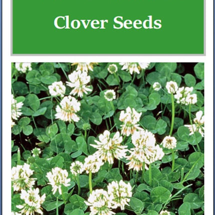 White Dutch Clover Cover Crop Seeds | NON-GMO | Heirloom | Fresh Flower Seeds