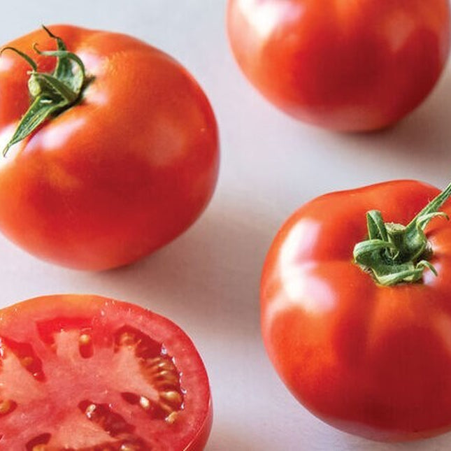 Celebrity Tomato Seeds, Celebrity Hybrid Tomato, NON-GMO, 30 Seed Pack