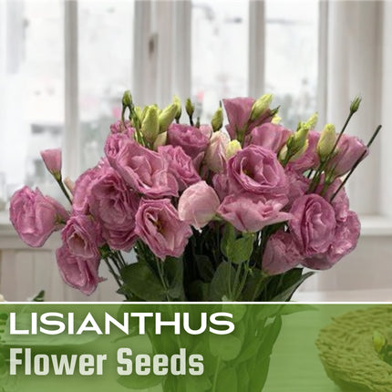 Lisianthus Seeds - 100 Seeds Garden Bloom Flower Seed Flowers Non Gmo Heirloom