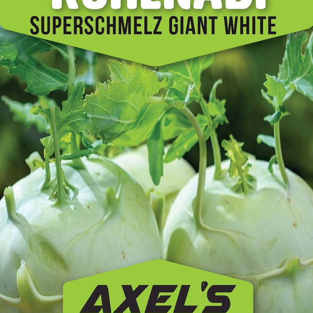 Superschmelz Giant White Kohlrabi Seeds - Heirloom Non-Gmo Seeds
