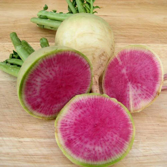 200+ Watermelon Radish Seeds Chinese Red Heart Radish Beauty Heart Heirloom USA