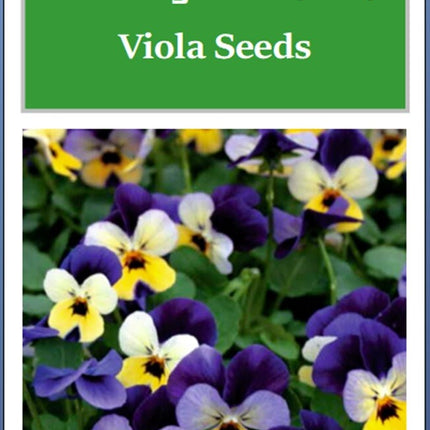 Johnny Jump up Viola Seeds | NON-GMO | Heirloom | Fresh Flower Seeds