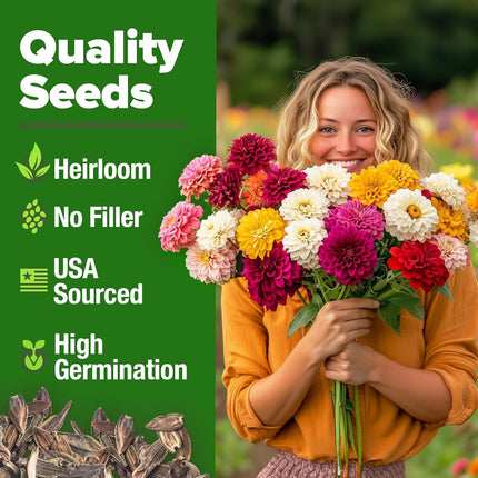 Zinnia Dahlia Seeds Pack- Bulk Flower Seeds to Plant outside for Vibrant Blooms,
