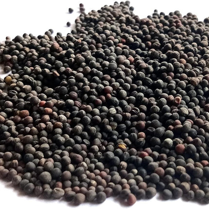 Organic Broccoli MICROGREEN Seeds | Heirloom Non GMO Sprouting Seeds