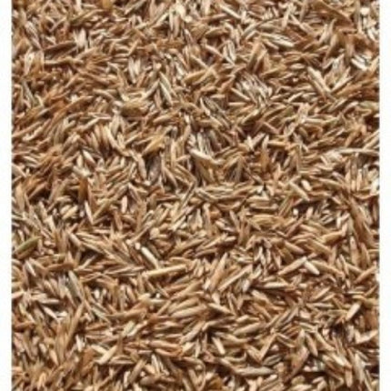 Annual Rye Grass Seed, (5 Lb. Pack), Grass Seed, Cool Season Gulf Rye Grass Seed