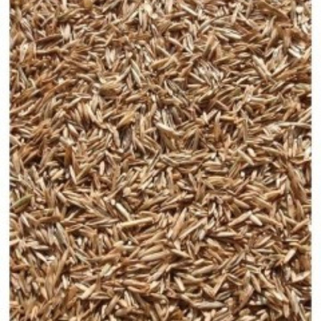 Annual Rye Grass Seed, (5 Lb. Pack), Grass Seed, Cool Season Gulf Rye Grass Seed