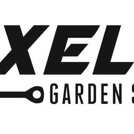 25,000+ Lavender Seeds for Planting - Common English Herb Lavender Non GMO