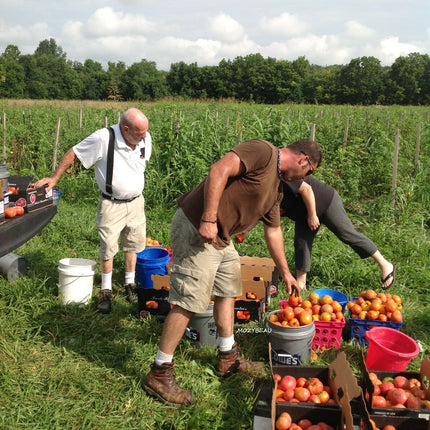 RUGGED SURVIVAL SEED BUCKET 600,000 Non-Gmo.Heirlo