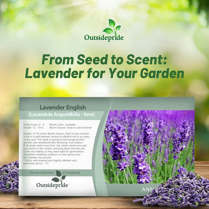 Outsidepride English Lavender Seeds - 10000 Pcs Perennial, Drought-Tolera