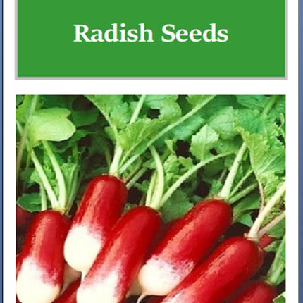 French Breakfast Radish Seeds | NON-GMO Radish Seed | Heirloom Garden Seeds