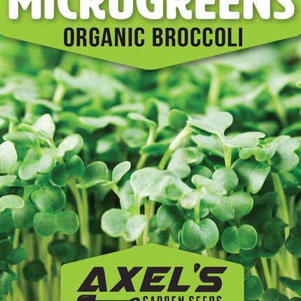 Organic Broccoli MICROGREEN Seeds | Heirloom Non GMO Sprouting Seeds