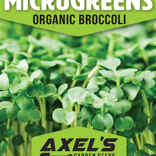 Organic Broccoli MICROGREEN Seeds | Heirloom Non GMO Sprouting Seeds