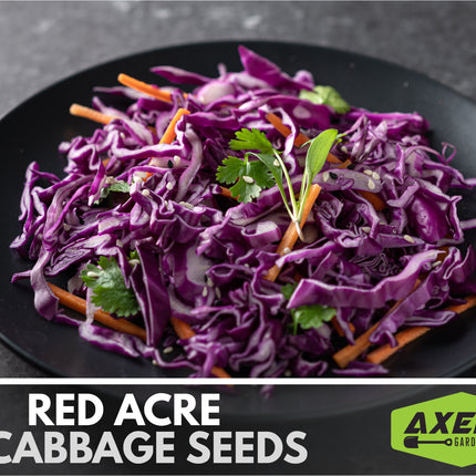 Red Acre Cabbage Heirloom Non-Gmo Seeds