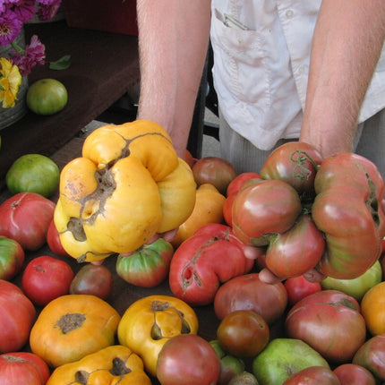 RUGGED SURVIVAL SEED BUCKET 600,000 Non-Gmo.Heirlo