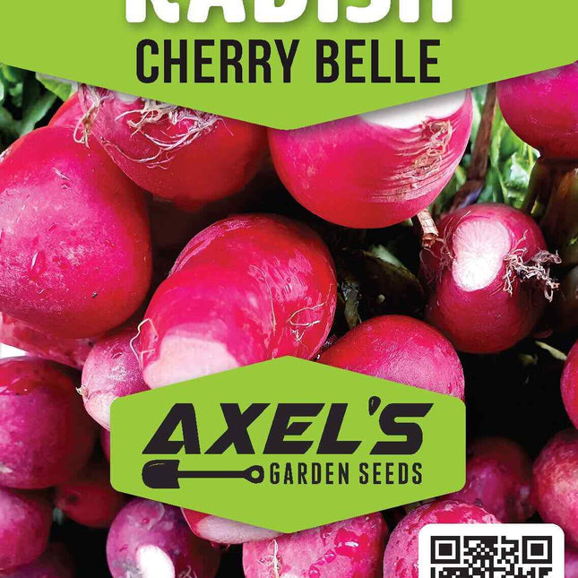 Cherry Belle Radish Seeds - Heirloom & Non-Gmo - Fast Growing High Germination