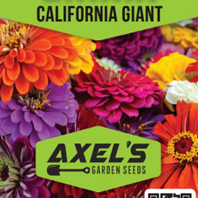 California Giant Zinnia Flower Seeds | Non-Gmo | Fresh Annual Flower Seeds