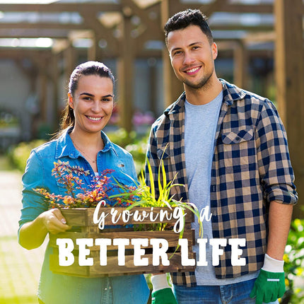 California Giant Zinnia Flower Seeds | Non-Gmo | Fresh Annual Flower Seeds