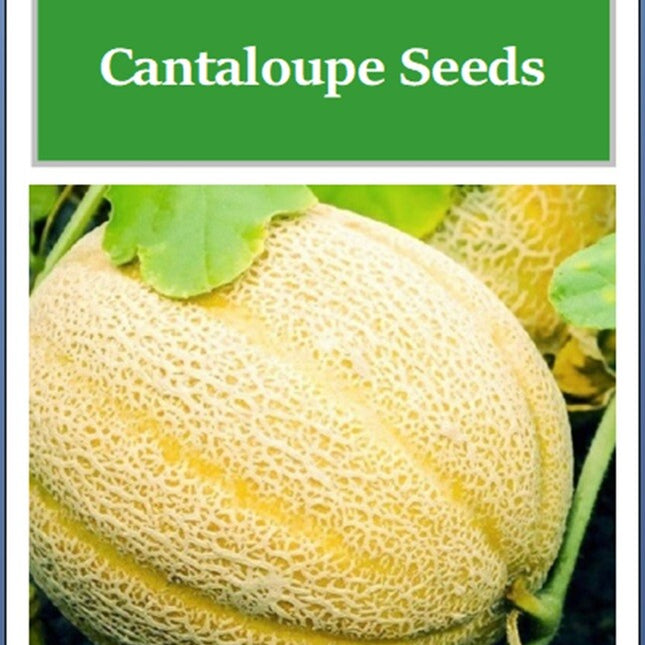 Hales Best Jumbo Cantaloupe Seeds | NON-GMO Cantaloupe Seeds | Heirloom Seeds