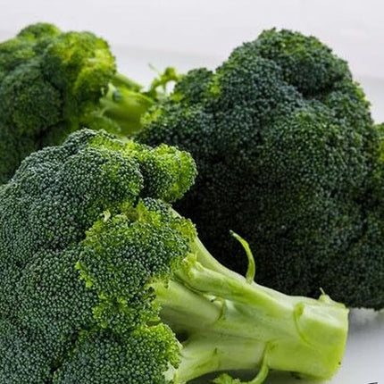 200+ Broccoli Seeds Waltham Broccoli Non GMO Fresh Garden Vegetable USA