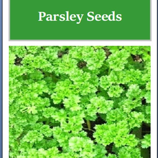 Triple Curled Parsley Seeds | Heirloom Parsley Seeds | NON-GMO Garden Seeds