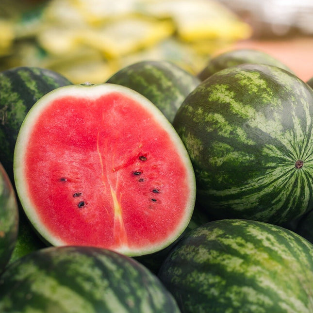 Greybelle Watermelon Seeds | Heirloom | Non-Gmo | Fresh Garden Seeds