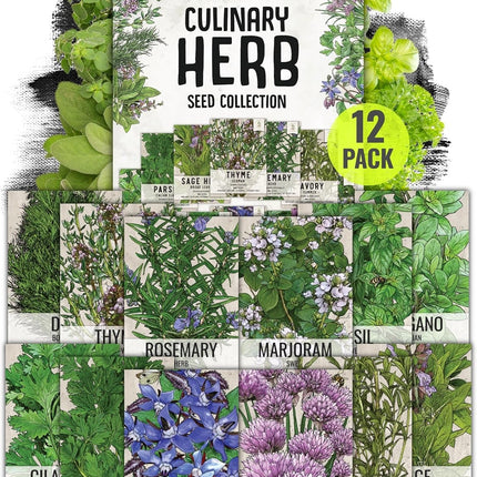 Herb Seeds Variety Pack Culinary Garden Starter Collection