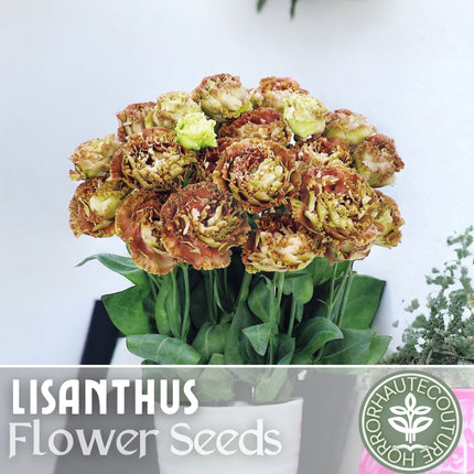 Lisianthus Seeds - 100 Seeds Garden Bloom Flower Seed Flowers Non Gmo Heirloom