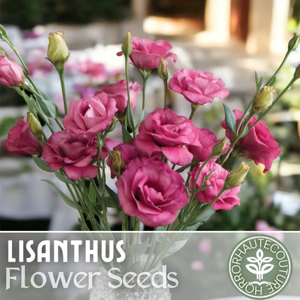 Lisianthus Seeds - 100 Seeds Garden Bloom Flower Seed Flowers Non Gmo Heirloom