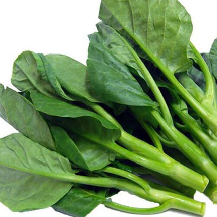 100+ Seeds Chinese Kale Kailaan Chinese Broccoli Gai Lan Choi Vegetable USA