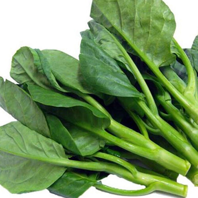 100+ Seeds Chinese Kale Kailaan Chinese Broccoli Gai Lan Choi Vegetable USA