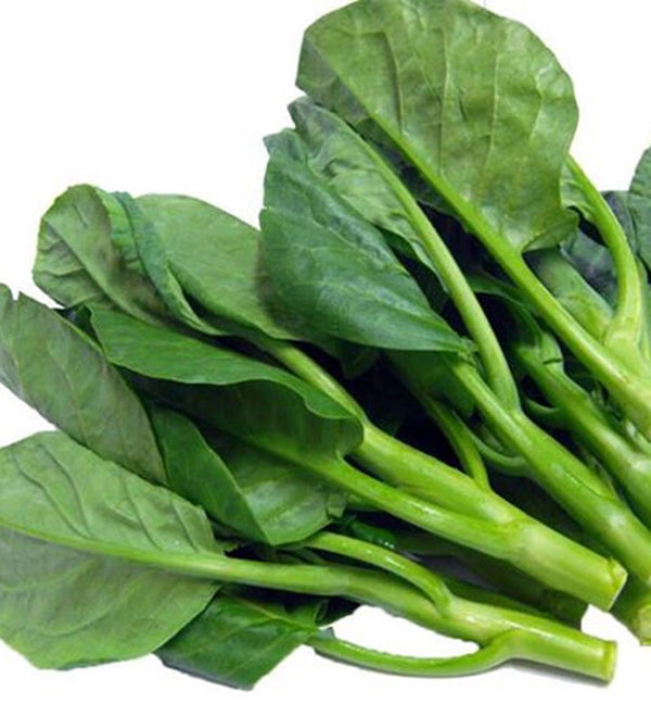 100+ Seeds Chinese Kale Kailaan Chinese Broccoli Gai Lan Choi Vegetable USA