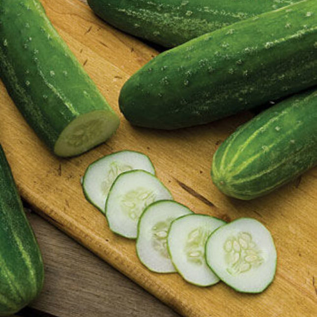 Cucumber Straight Eight, Heirloom, NON-GMO, 25 Cucumber Seeds, Straight 8 Seed