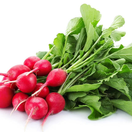 Cherry Belle Radish Seeds - Heirloom & Non-Gmo - Fast Growing High Germination