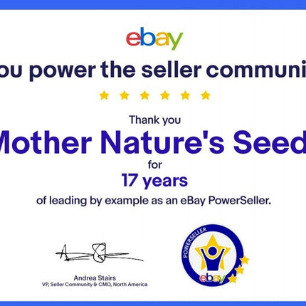 Columbine MCKANA GIANT Mix Perennial Hummingbirds Butterflies Non-Gmo 500 Seeds